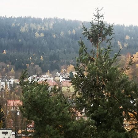 Irysek Ladek-Zdroj Exterior foto